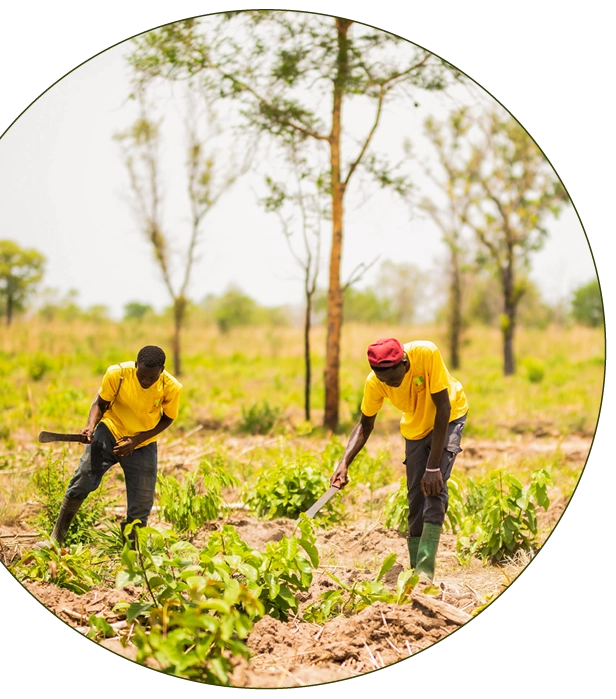 aconnic: Carbon Capturing & Bio Energy - Field Workers