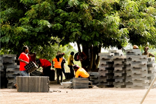 aconnic: Carbon Capturing & Bio Energy - Field Workers